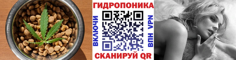 blacksprut как войти  Балашиха  дарк нет формула  Canna-Cookies конопля 