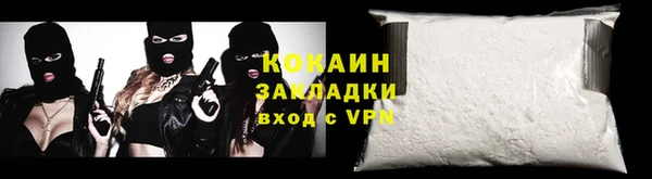 шишки Болотное