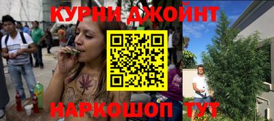 крисы Аргун