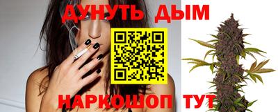 крисы Аргун