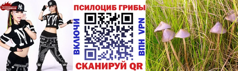 Галлюциногенные грибы мухоморы  Балашиха 