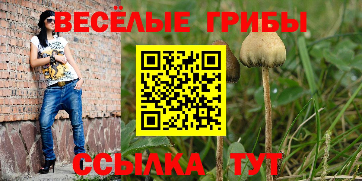 Кокаин  Балашиха  ГАШ  МАРИХУАНА  Вход с VPN  NBOMe  Меф МЯУ МЯУ  Канабис  Мефедрон   МДМА 