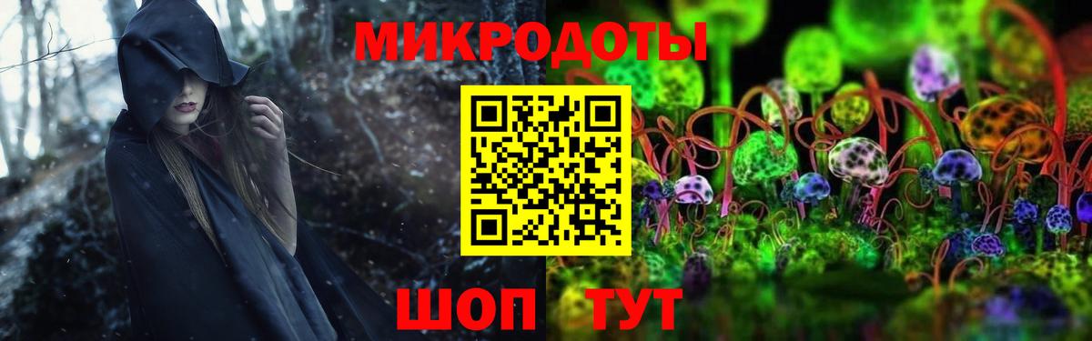 Псилоцибиновые грибы Psilocybe  Вход с VPN  Балашиха 